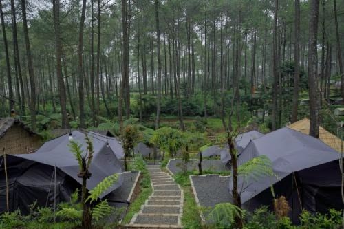 Glamping Pangalengan Pranala
